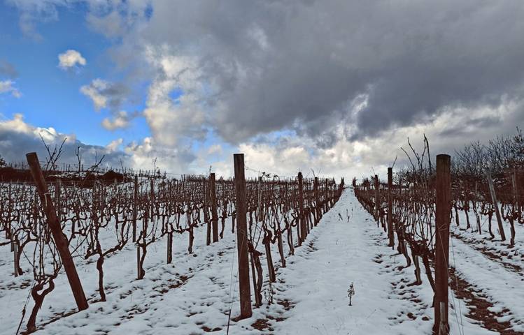 Photo of Domaine Finon