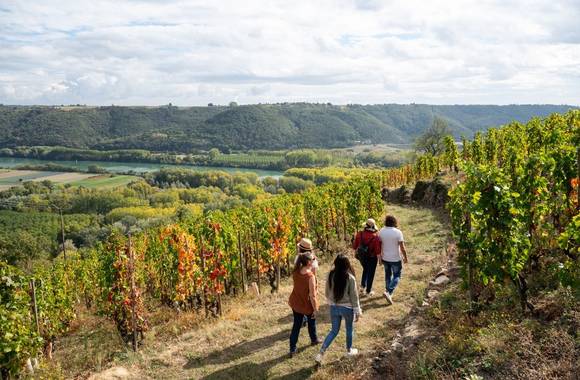 Rando Wine au Domaine Clusel-Roch