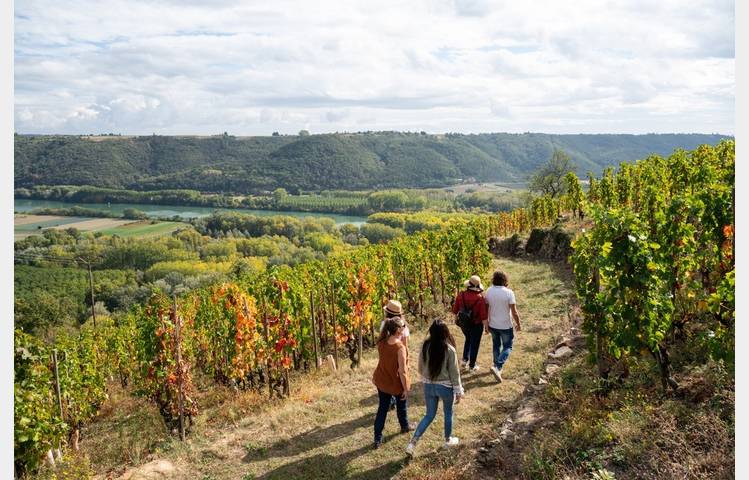 image de Rando Wine au Domaine Clusel-Roch