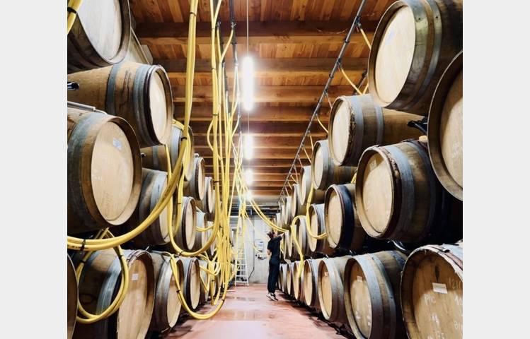 image de Domaine Pierre Gaillard