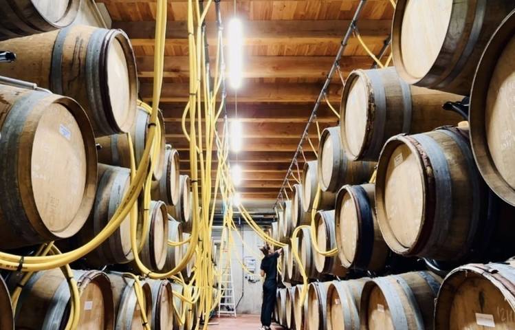 Photo of Domaine Pierre Gaillard