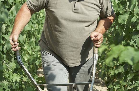 img-domaine-pierre-gaillard