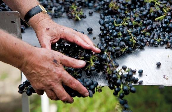 img-domaine-pierre-gaillard