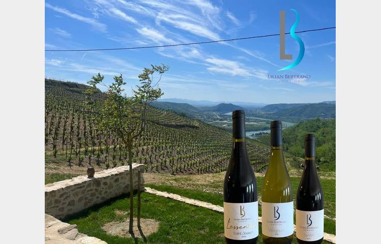 image de Apéro sunset dans les vignes (Domaine Bertrand)