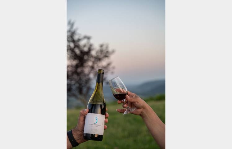 image de Apéro sunset dans les vignes (Domaine Bertrand)