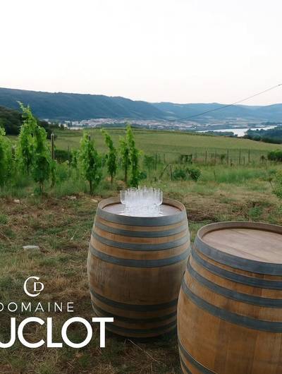 img-sunset-dans-les-vignes-domaine-duclot