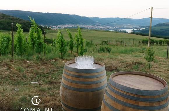 Apéro sunset dans les vignes (Domaine Duclot)