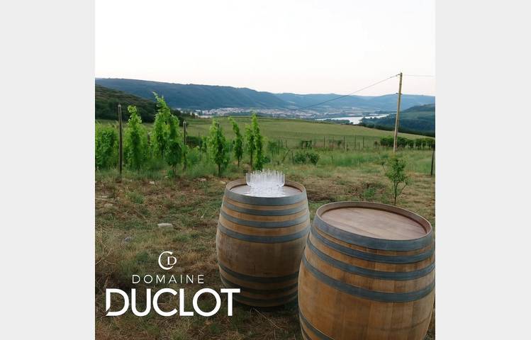 image de Apéro sunset dans les vignes (Domaine Duclot)