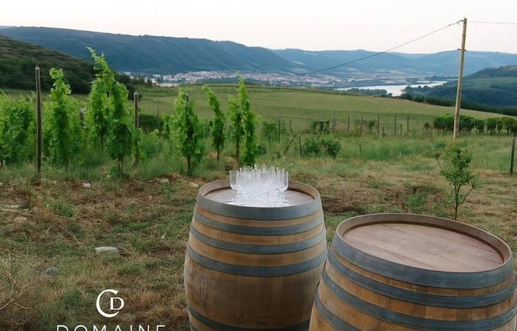 Photo of Sunset dans les vignes - Domaine Duclot