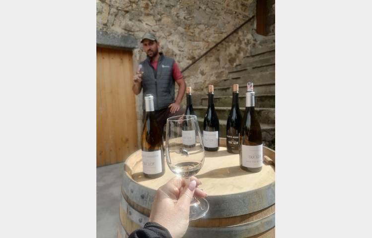 image de Apéro sunset dans les vignes (Domaine Duclot)