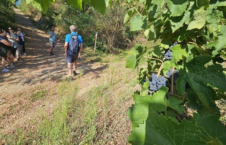 Photo of Rando Wine à la Cave Saint-Désirat