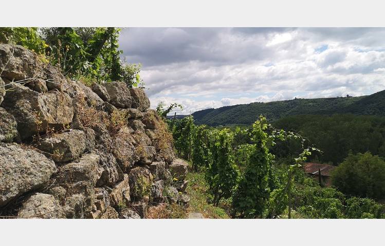 image de Visites et dégustations au Domaine Corps de Loup