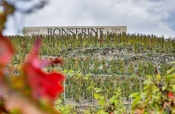 img-domaine-de-bonserine