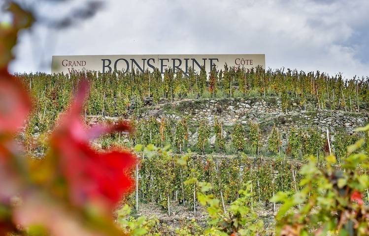 Photo of Domaine de Bonserine