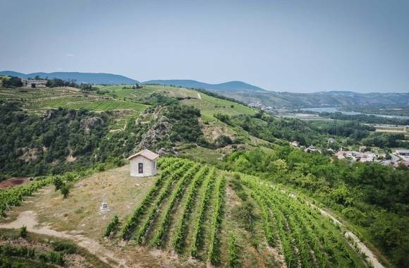 Brunch Vigneron at Domaine Anthony Paret