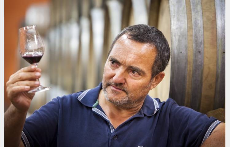 image de Wine cellar Yves Cuilleron