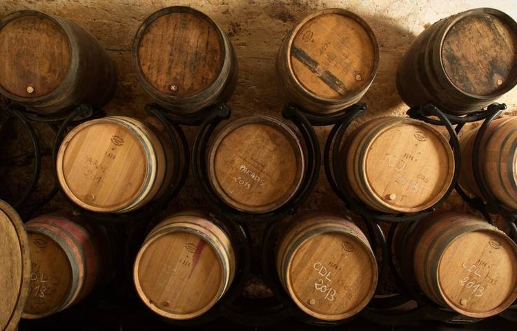 Photo of Complete visit and tasting at Domaine Corps de Loup