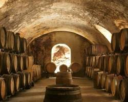 Complete visit and tasting at Domaine Corps de Loup