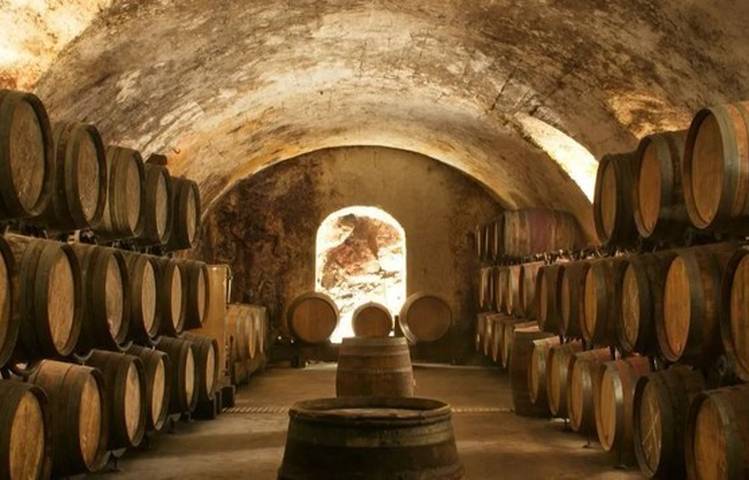 Photo of Complete visit and tasting at Domaine Corps de Loup