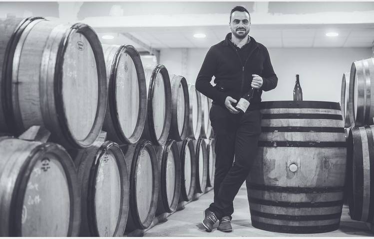 image de Domaine Romain D'Aniello