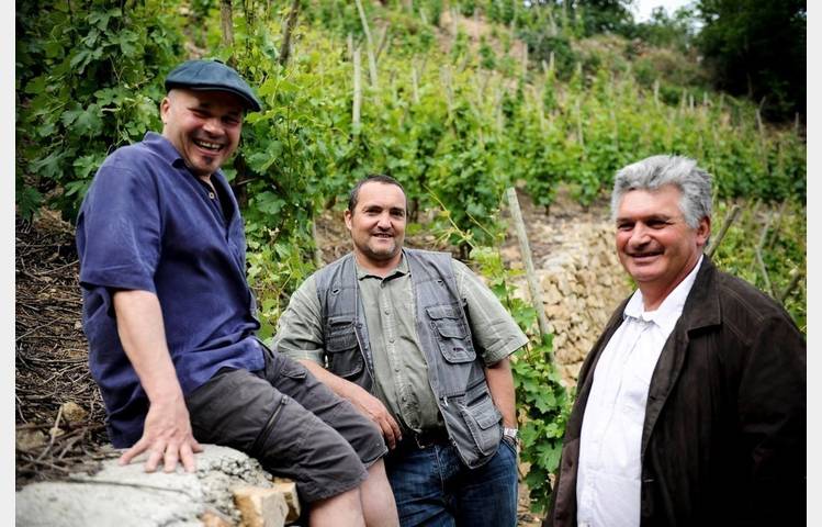 image de Wine Notes at Judy's with les Vins de Vienne