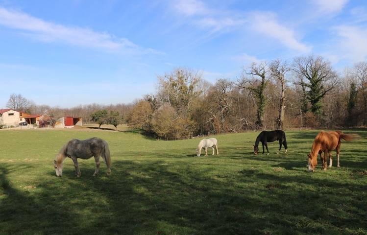 Photo of La Combe au Lierre