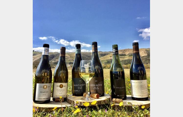 image de Les Vins de Vienne
