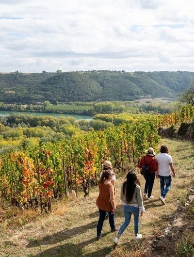 img-rando-wine-au-domaine-clusel-roch
