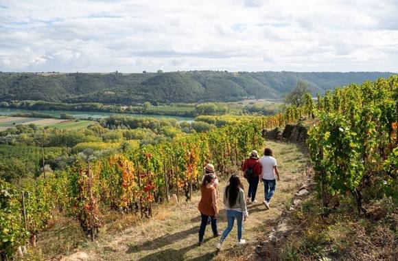 img-rando-wine-at-domaine-clusel-roch