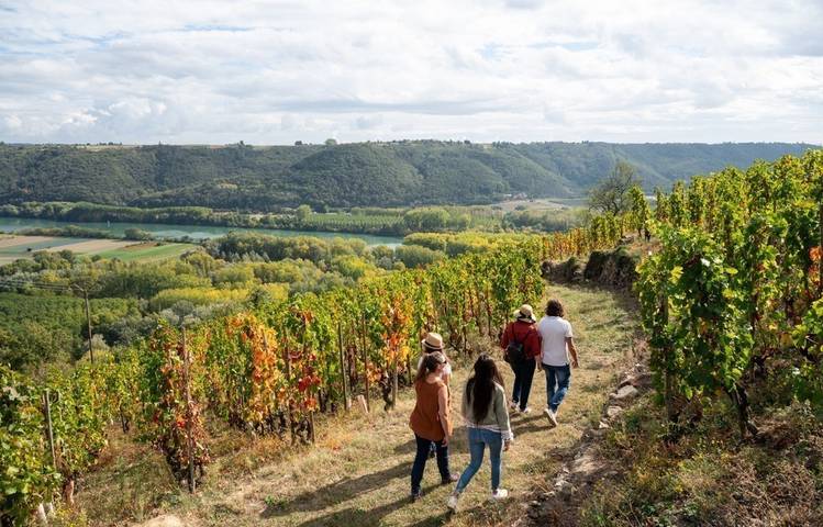 Photo of Rando Wine at Domaine Clusel-Roch