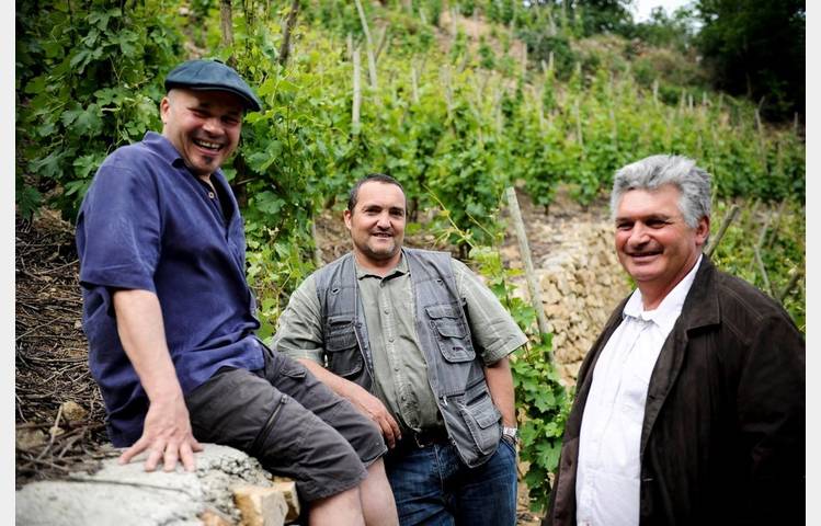 image de Les Vins de Vienne