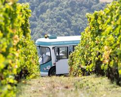 Côte-Rôtie Tour
