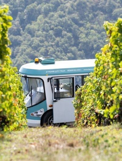 img-cote-rotie-tour