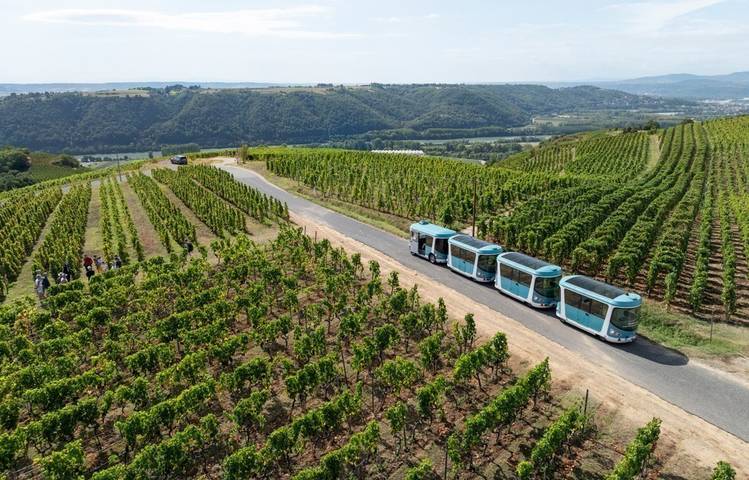 Photo of Côte-Rôtie Tour
