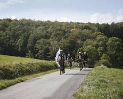 Discover Côte-Rôtie with Wine and Ride (half-day)