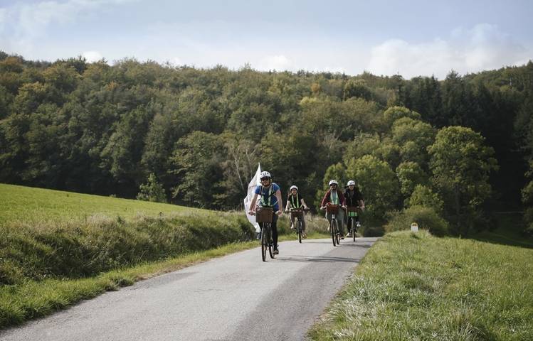 Photo of Discover Côte-Rôtie with Wine and Ride (half-day)