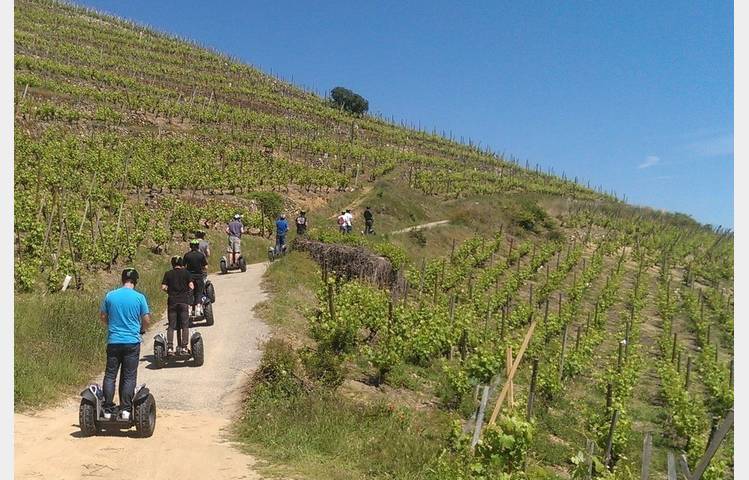 image de Condrieu Segway Tour