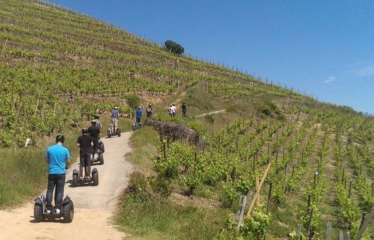 Photo of Condrieu Segway Tour