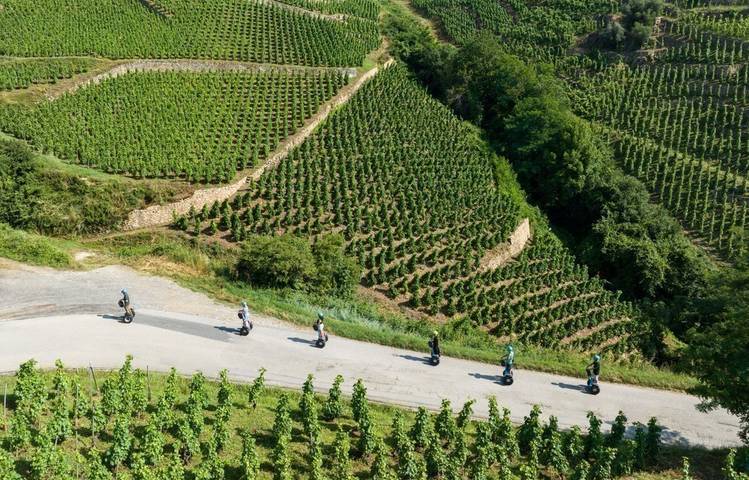 Photo of Condrieu Segway Tour