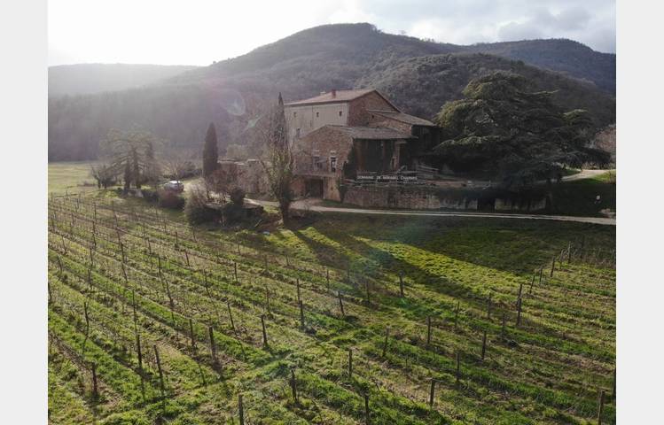 image de Balade Oenologique