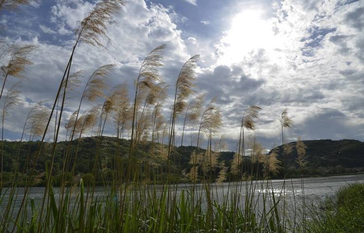 Photo of Hike : Côte de Serrières