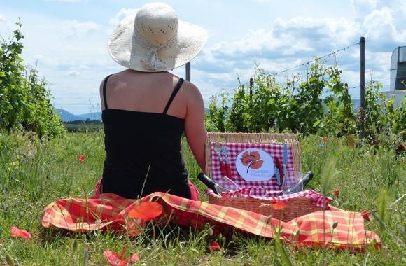Brunch Vigneron - Cave Pradelle