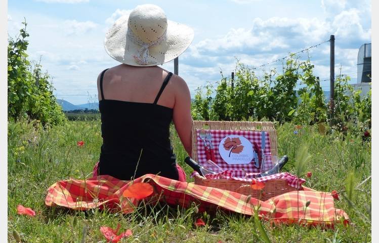 image de Brunch Vigneron - Cave Pradelle