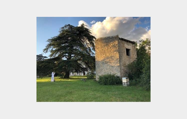 image de "De la vigne au verre" chez M. et Mme Du Tremolet