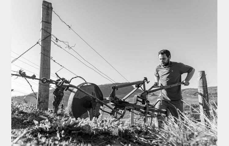 image de Gaillardises 2026