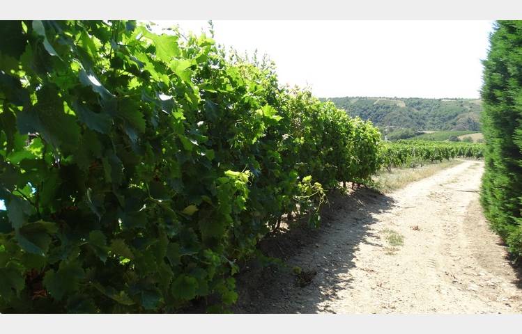 image de Gaillardises 2026