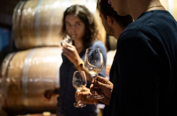 img-wine-notes-at-domaine-de-pimotin