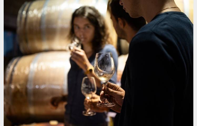 image de Wine Notes at Domaine de Pimotin