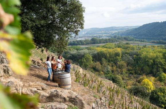 Apéros Vignes au Domaine Eymin-Tichoux