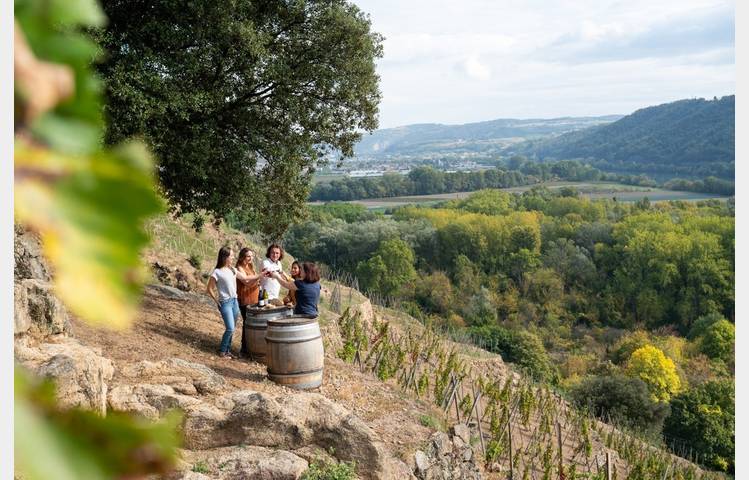 image de Apéros Vignes au Domaine Eymin-Tichoux